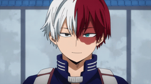 Todoroki